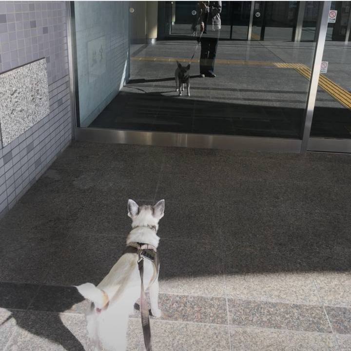 69689f00 f50a 4c83 b11a 7c2b5fff98f4 1760482445850