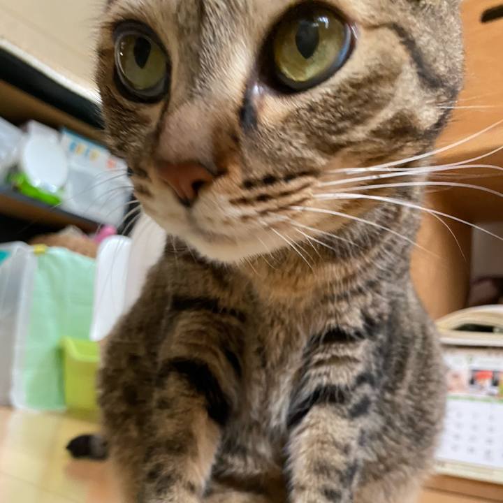 6968f6e0 9383 41ae b020 dd01315f5e45 1694807955532