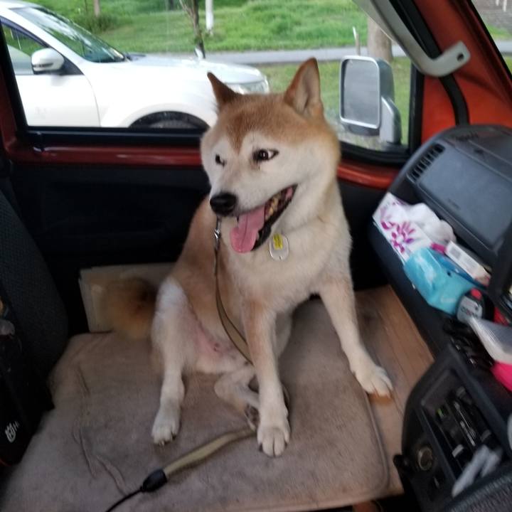 69692385 9141 4c15 974d 872fc55fbc22 1659259209508