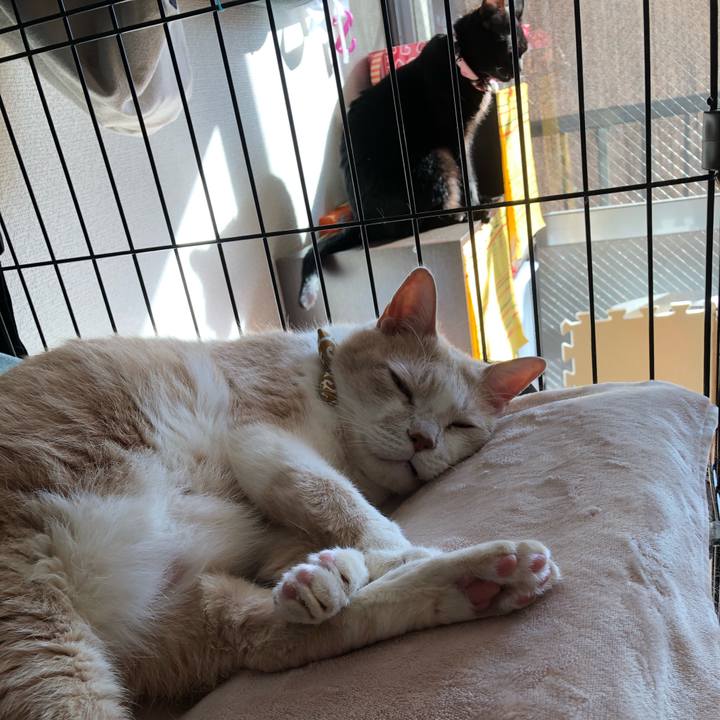 69692713 63e8 4b9b 878d bae93d8d8e1c 1581305241028