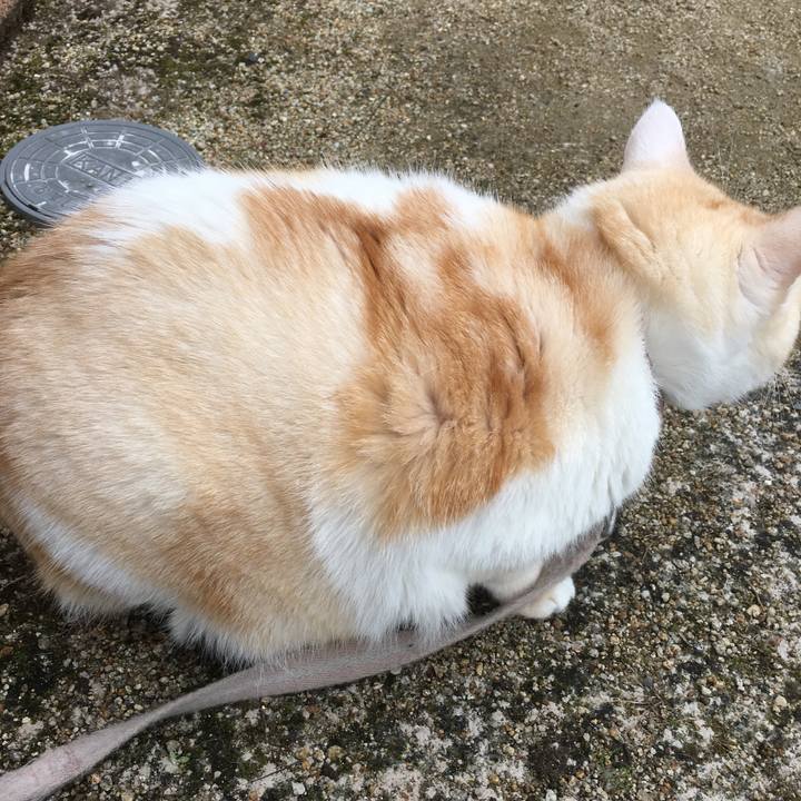 69693fb9 dd5b 42b3 ae2a 9546fd256a9b 1512785958726