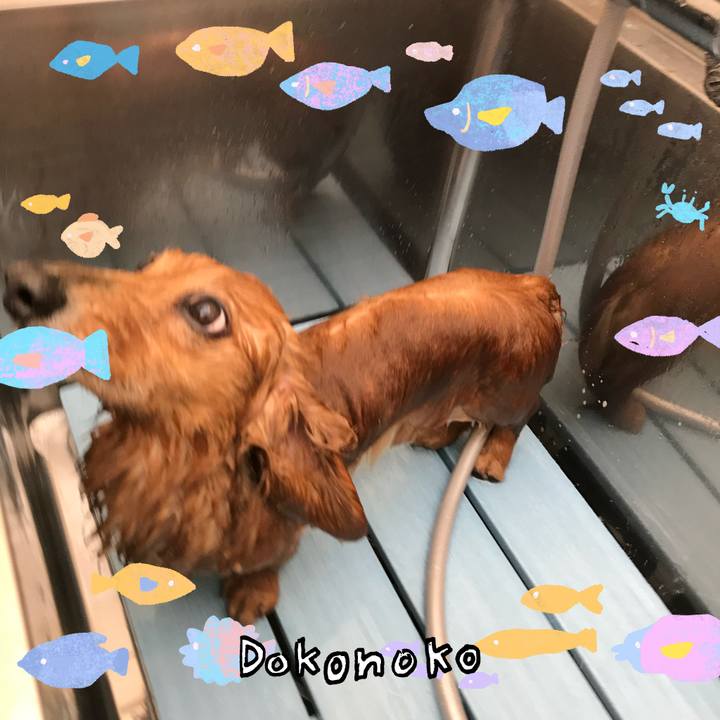 69694f39 2bf1 405c aea0 48d70d14b51a 1755311152309