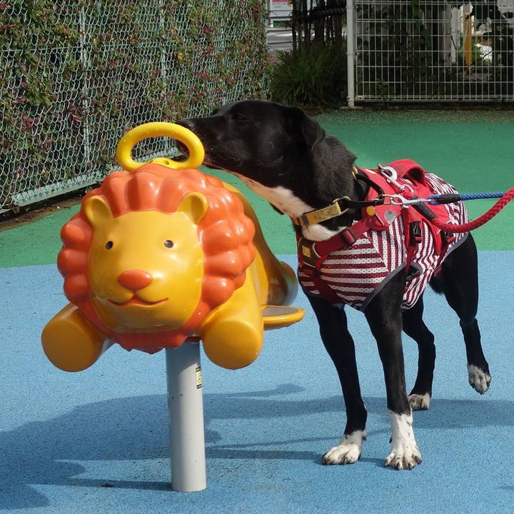 69695364 ff93 4f17 a875 9f9fe60c5ce0 1593906725612