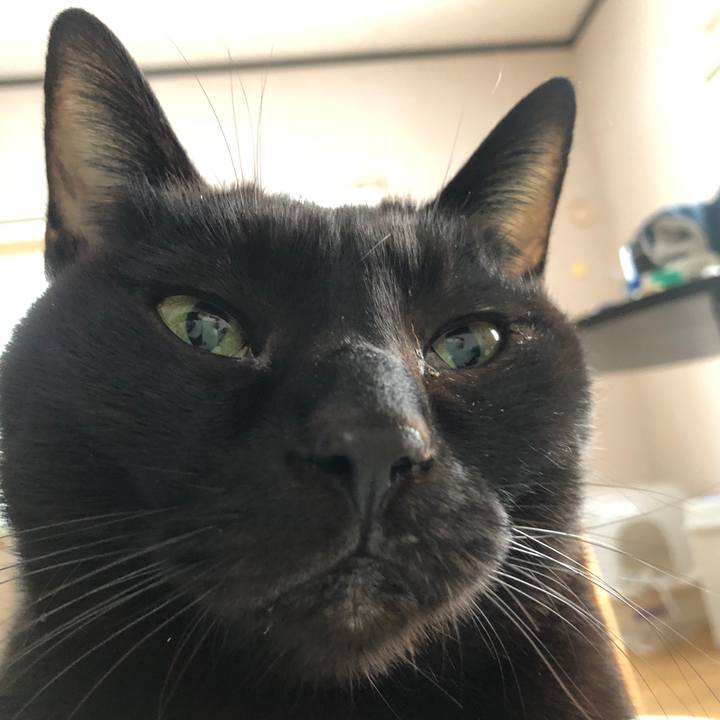 69695c8f 2e19 4b6d a5d6 5c79e11237b8 1735944425024