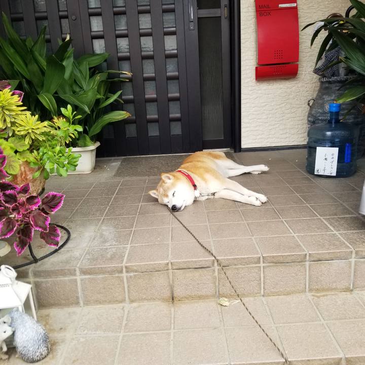 69696725 1bdc 49ef a92a 373980ce9699 1725326196190