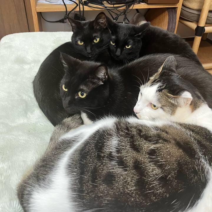 6969b1d6 4b51 4b13 9755 f1db6fc4a662 1706246067179