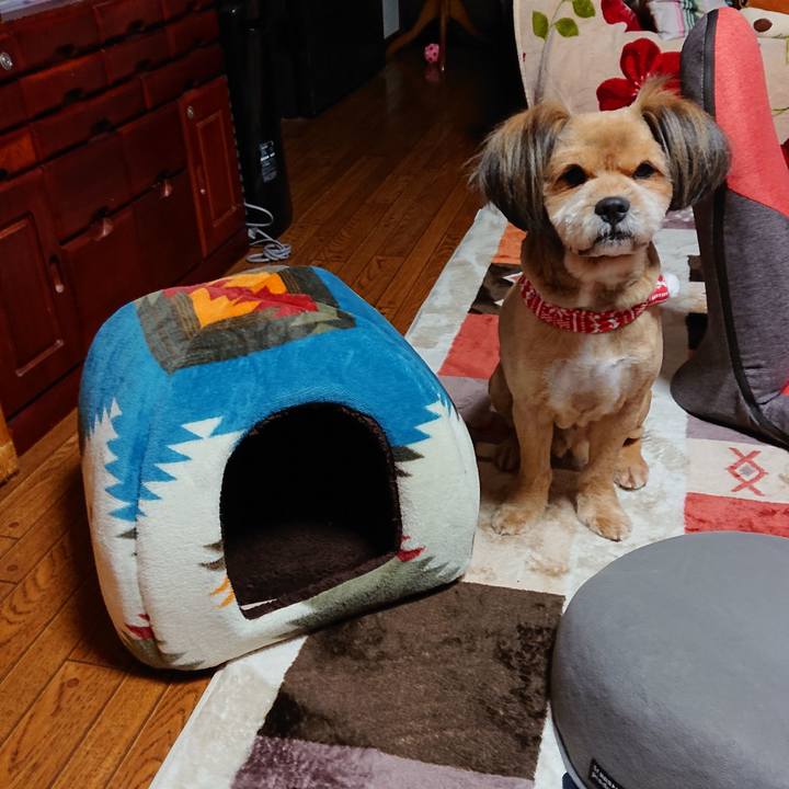 6969b517 8c17 4da1 b5a9 a65c4daa4334 1543960897535