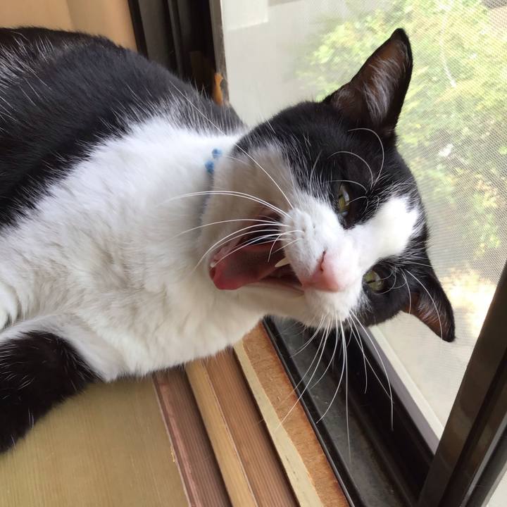 6969ce8e 6d0c 4401 978a b9f02c463d89 1722143698223