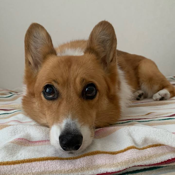 696a00a1 d8df 45ab 8e6a a484f3d5f685 1660775285777