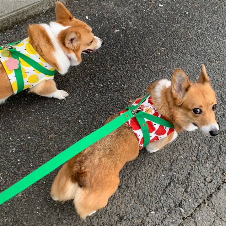 696a2535 10b0 4d8a 8c2c 23f78f6be456 1575189770001