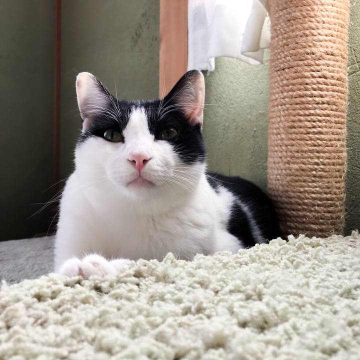 696a36f6 4269 43ae 89a0 d4fdfa128cd1 1510466386637