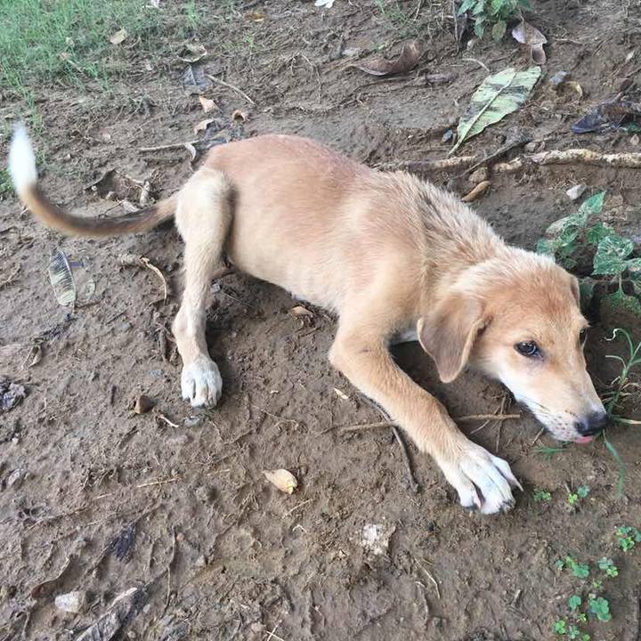 696a6a0d 84a7 465e 9bd5 6a1078d984b4 1533261603705