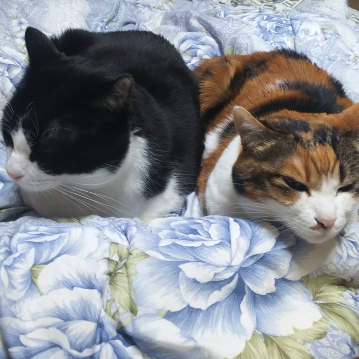 696a8b89 e01d 484d 890f 873af69f9668 1579949700394