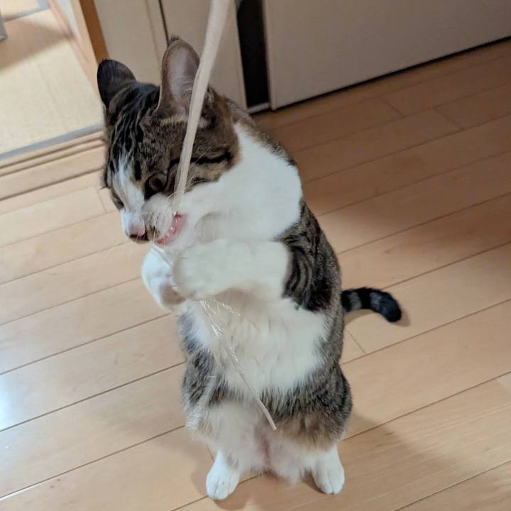 696a9a9c e4f3 4a57 bc1a 5a0cea7258b2 1746424957529