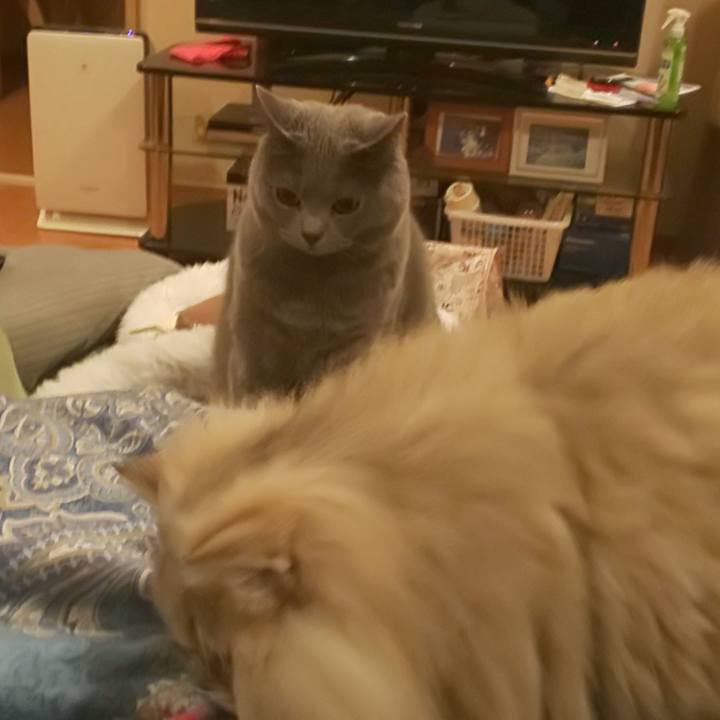 696a9e33 5f95 473c 9719 982acb58f33f 1576628552375