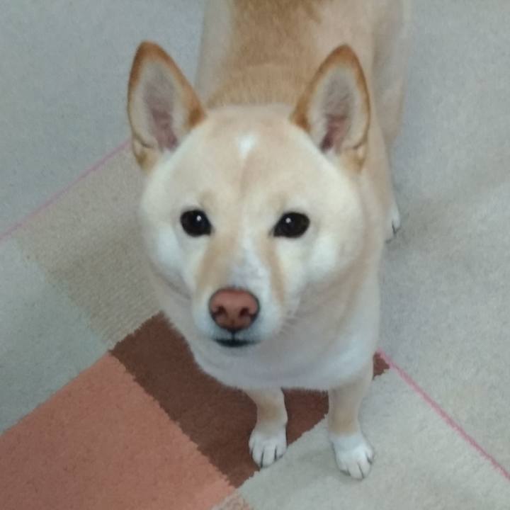 696ac761 fe06 44a3 a825 9d5bc0805496 1580767876520