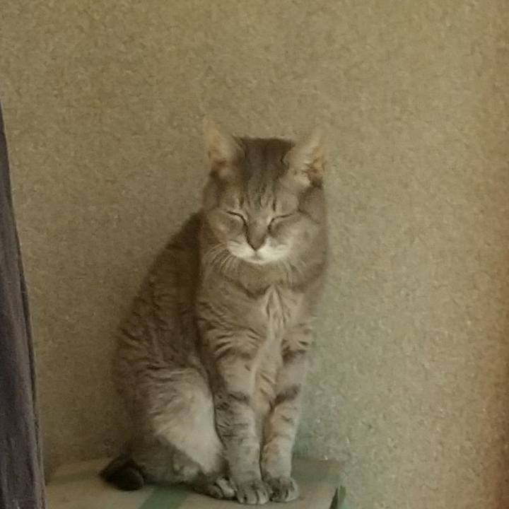 696ae720 812f 433d b01a 51c54e070213 1696285790767