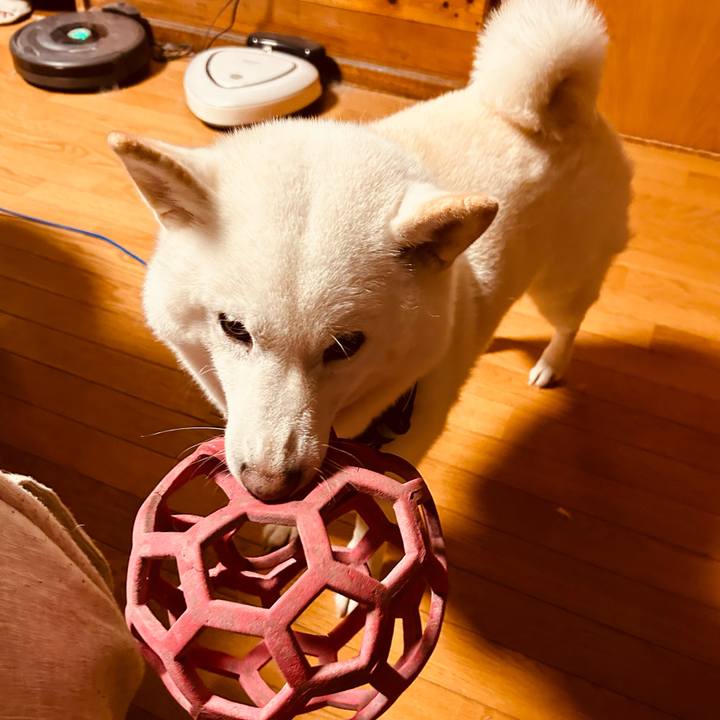 696b54d1 ccd1 4f97 9741 2c9727530ff0 1697803798409