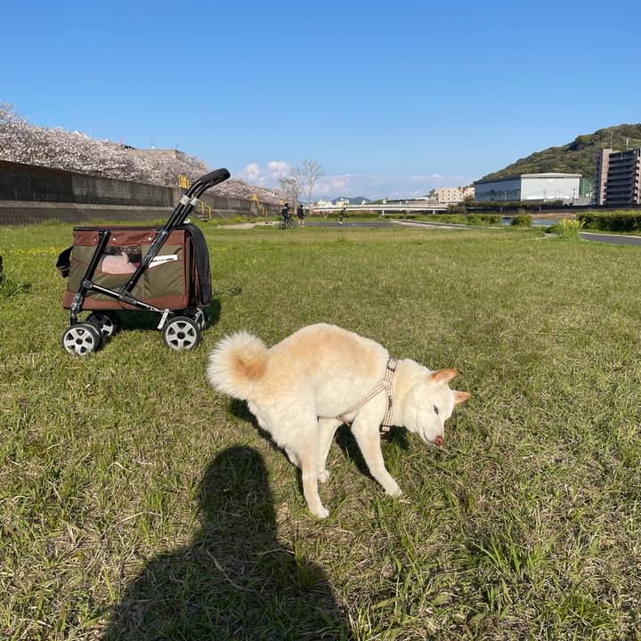 696b59b7 4aef 4d00 be53 f8c1cb27dd7c 1649073527684