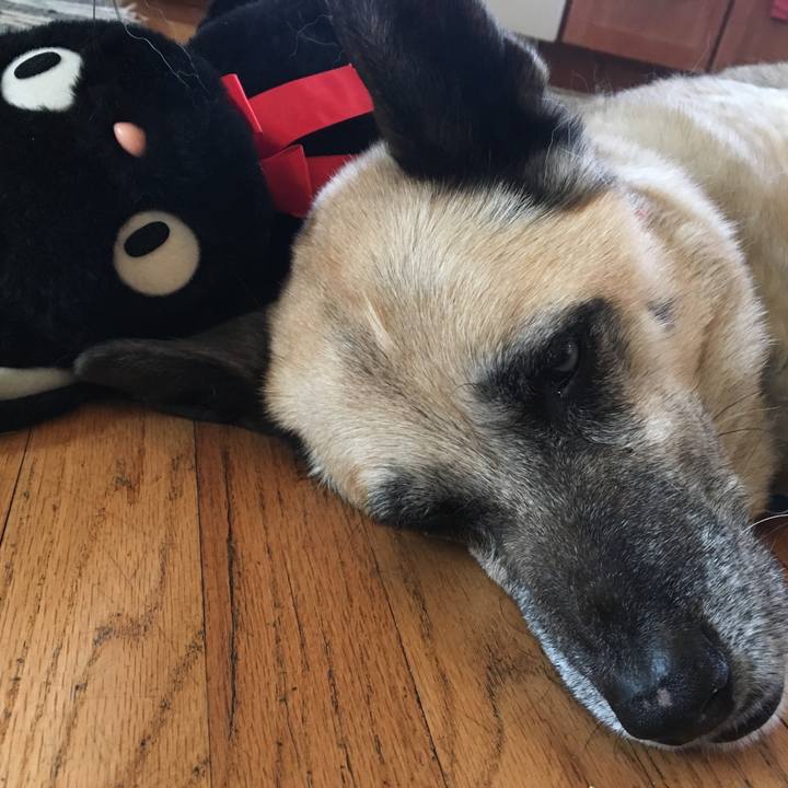 696b63a0 6093 47f0 8160 74accc9eaa36 1522855596011