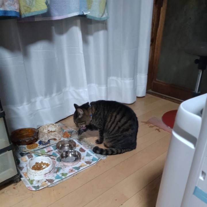 696b9b5f 2f4a 4245 877a 43c48a4837db 1670719078499