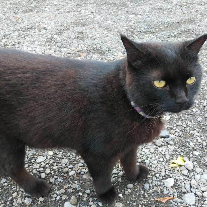 696c0f55 7bac 4852 9958 467fc1066c5e 1598919645694