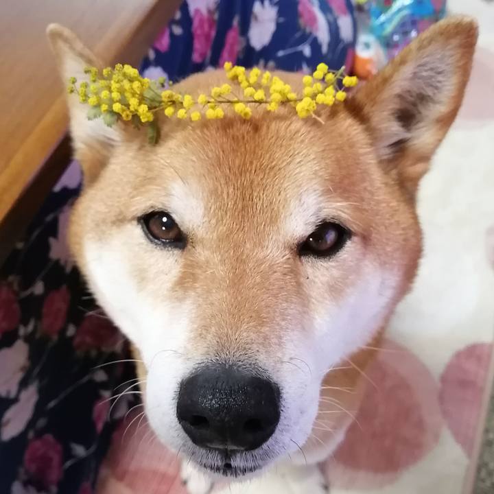 696c6e3b eeda 46c0 abe2 33d0a692f6ec 1615185913533