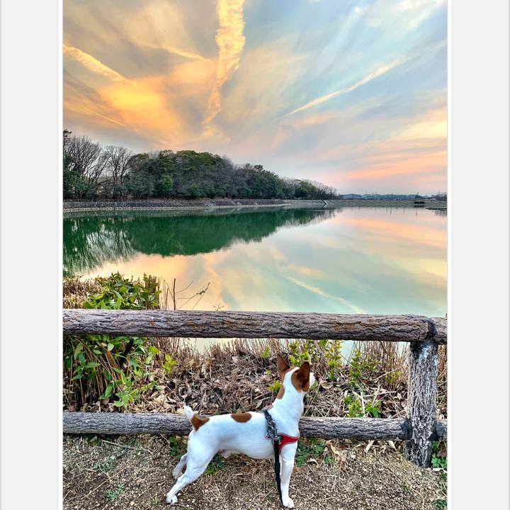 696c7315 1f4f 48b8 a28e 575e869eeaa8 1551519630802