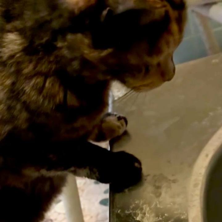 696cf8df 216b 42f2 8f38 3b973d2b0948 1744060023424