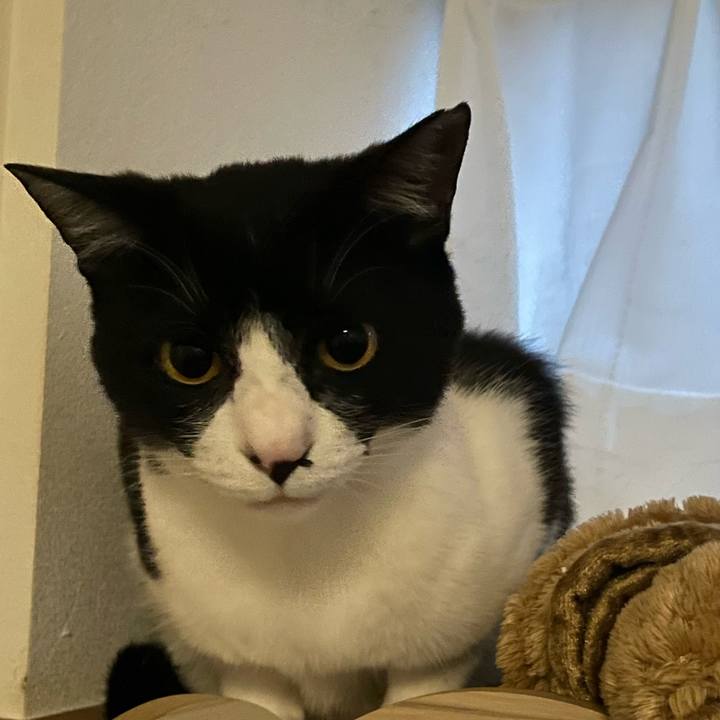 696cfd28 519f 44ed b81e c497913de207 1717668781629