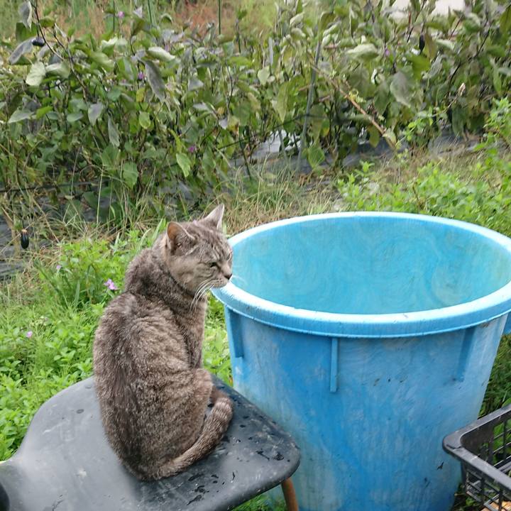 696d051c 2e39 40a8 95cb 3cbaa76156cd 1571025481675