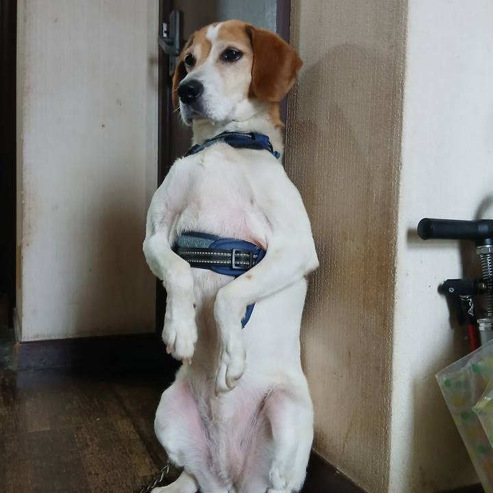 696d57db 37fc 4b60 bf30 cf3beb6af0a0 1749790005920