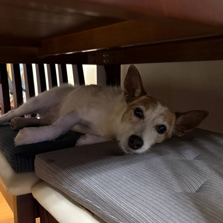 696d7c27 d11c 4039 8ae1 2f9aa7fde3b0 1747783565067