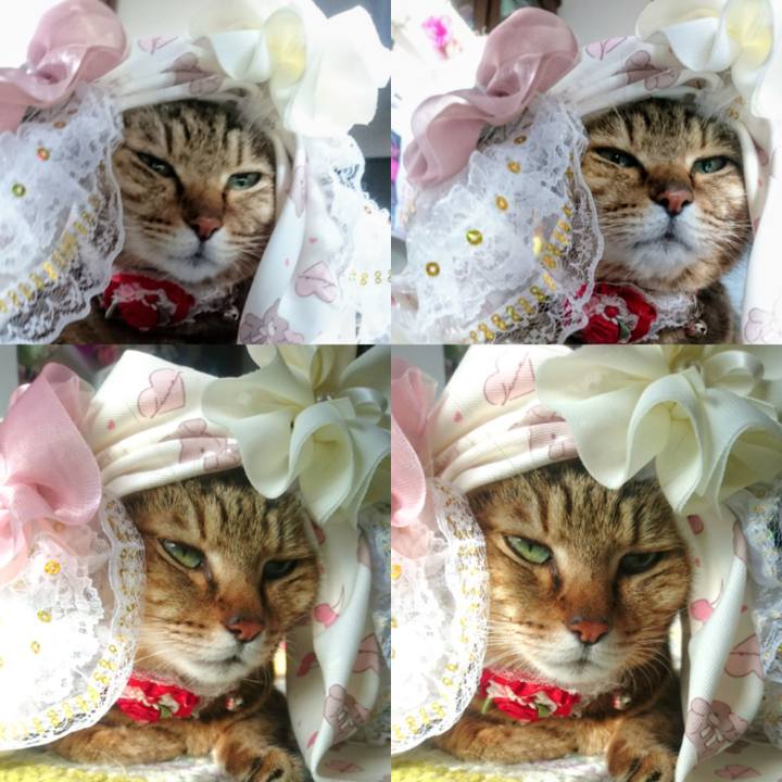 696d7d59 0164 474c b008 3821ebbdc10b 1766101878970