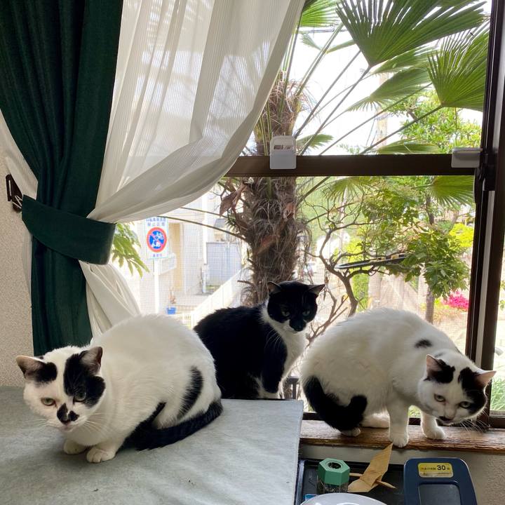 696d7fc5 f264 4eb6 b02f 138b71017263 1650334554914