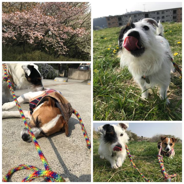 696dac2e 4b96 4afd 8ba3 c5c4d72a00c3 1522715514957