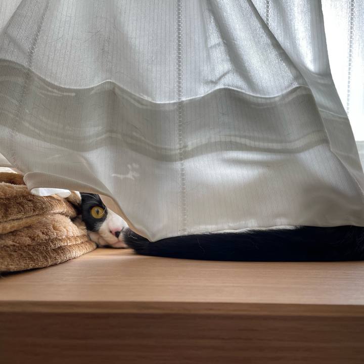 696dc44e 763d 4e1a a812 ab5cde7203e0 1715135715364