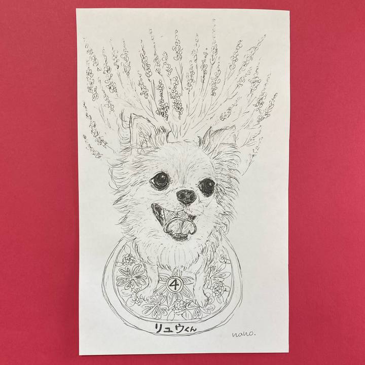 696dcc18 16cd 4a89 a527 947ef2650d80 1645485590936