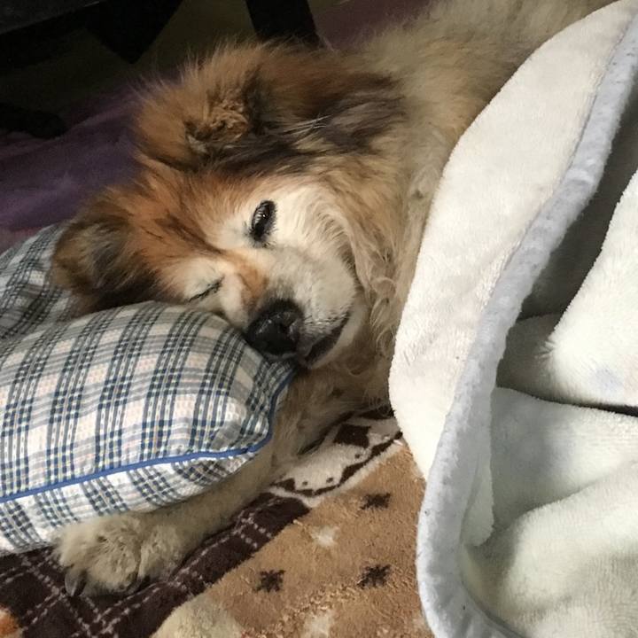 696de0f1 be8d 488f 87fe ca351f5b649c 1562145435833