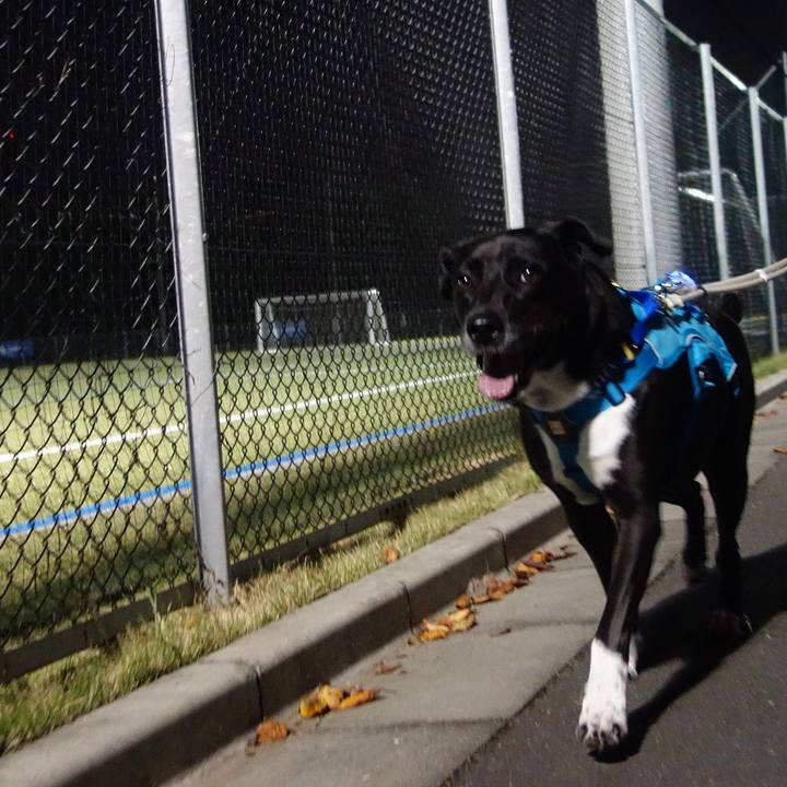 696de356 36c3 432f 8912 b46a33200a66 1666615722318