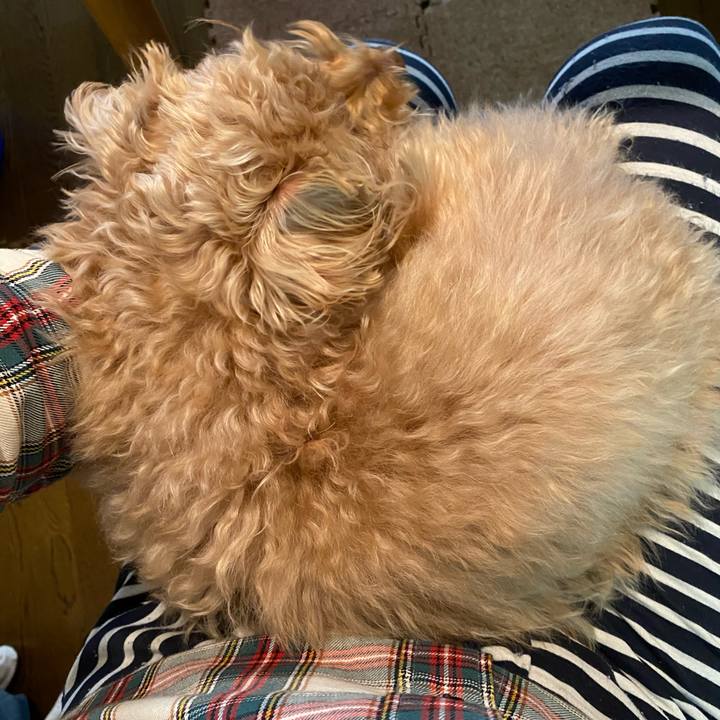 696de5e6 2802 4fcb b4bf 40f7ff32d807 1619473736179