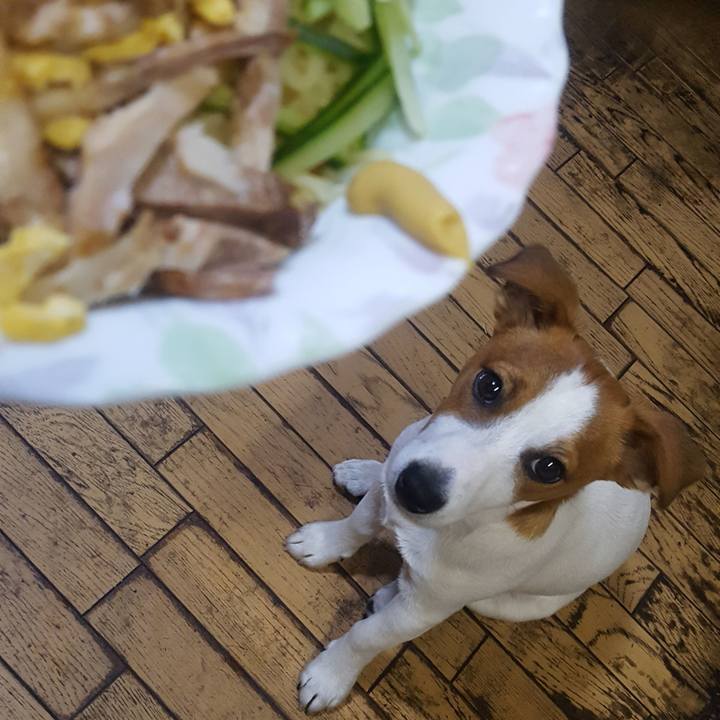 696e04d6 83be 45f1 a0f3 eb0f3978bbd0 1558410745499