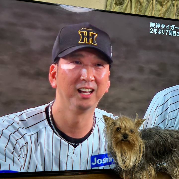 696e108a 997c 4f7a aaf5 eefed8d3fbd6 1757247467230