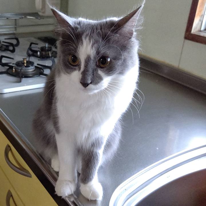 696e2583 e58e 4229 b2cf 96113b9d1a4a 1572563268167