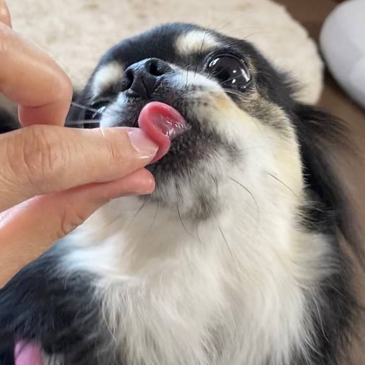 696e2c4b ceab 450e 90c3 22dd274437b1 1654317602193