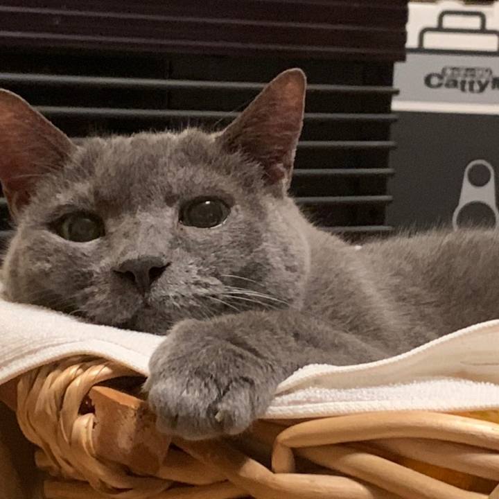 696e2f10 8b3d 4850 ab42 30f6e44e8e2b 1633910974447