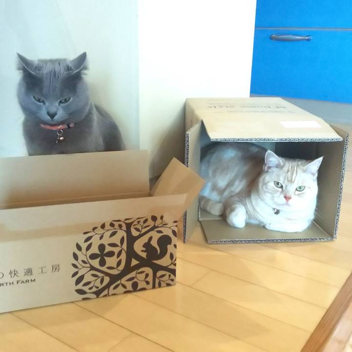 696e3dd7 686a 4907 8dd9 1e522a450009 1554858787334