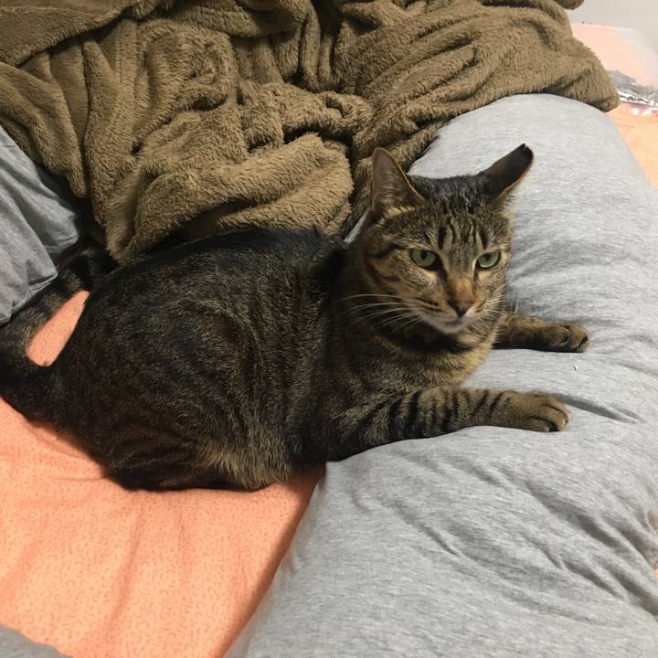 696e4811 8698 449c aea4 f6adfde910f0 1561204709307