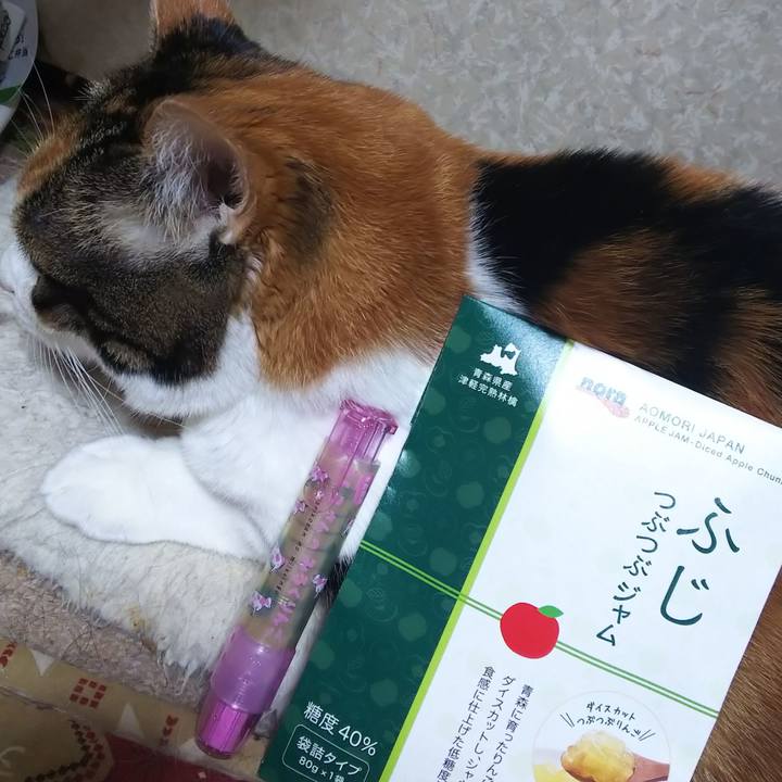 696e5d0c 1821 400b a75c d049c5b7cb5c 1574247850038