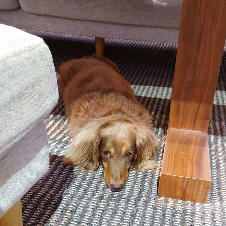 696e65f3 8468 4c73 a07d 3b0493ba1dec 1625373508238